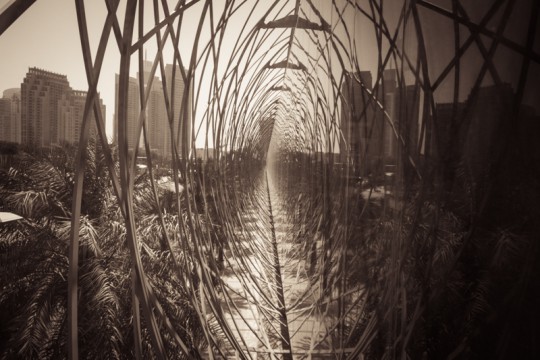 filming-in-dubai-steven-sheehy