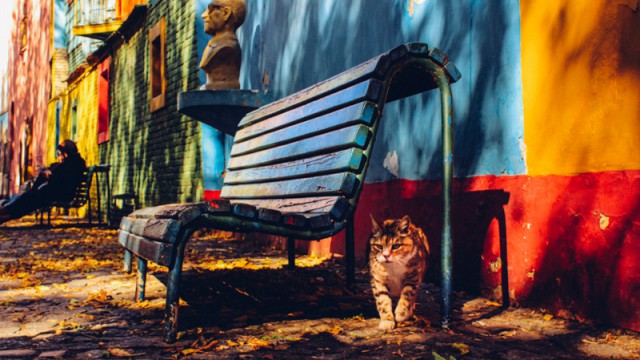 top-photo-spots-in-buenos-aires-la-boca