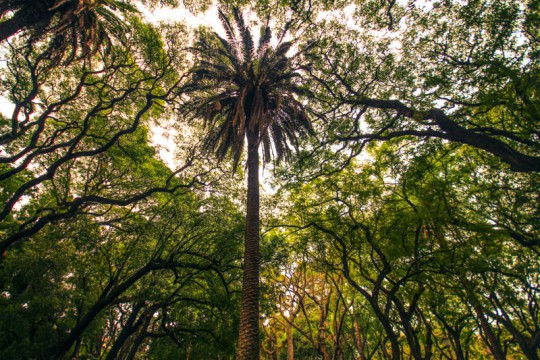 top-photos-of-argentina