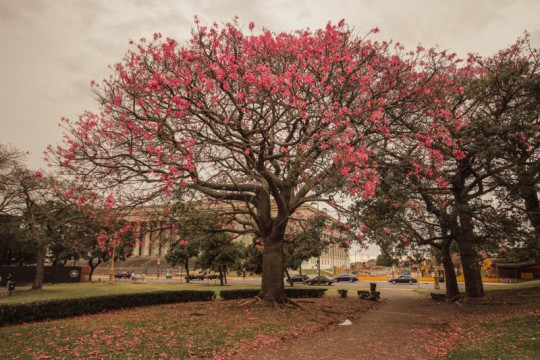 top-photo-spots-in-recoletta-2