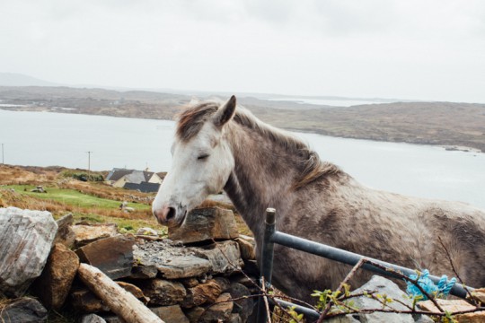 touring-connemara-photographs-steven-sheehy