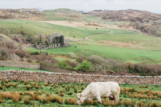 touring-connemara-photographs-steven-sheehy