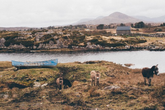touring-connemara-photographs-steven-sheehy