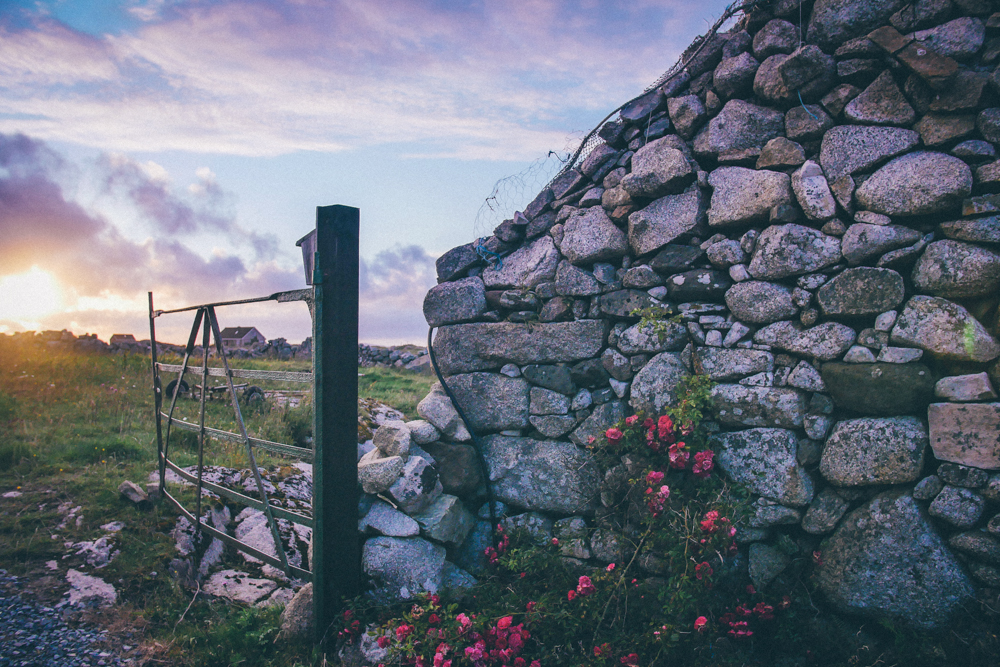 dillisk-food-project-connemara-event