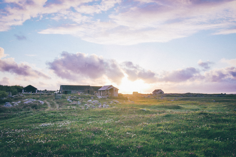 dillisk-food-project-connemara-event