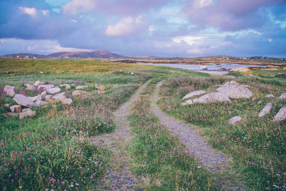 dillisk-food-project-connemara-event