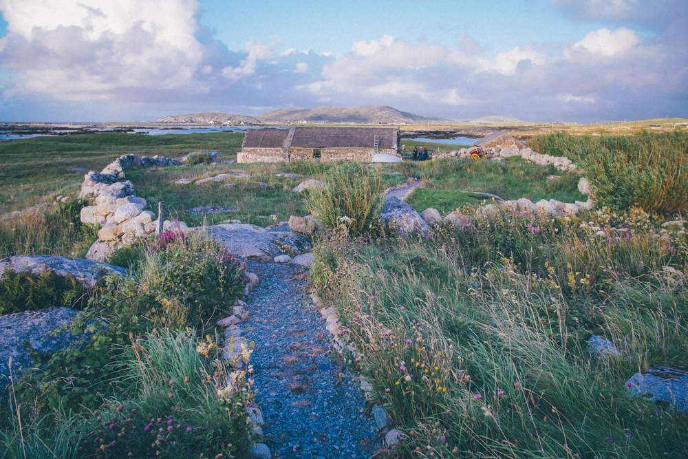 dillisk-food-project-connemara-event