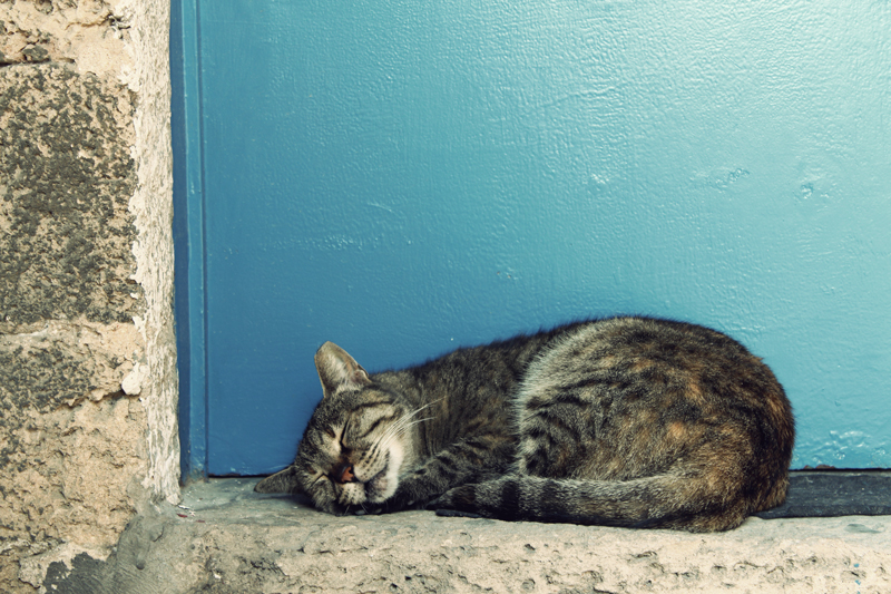 israel-travel-photography