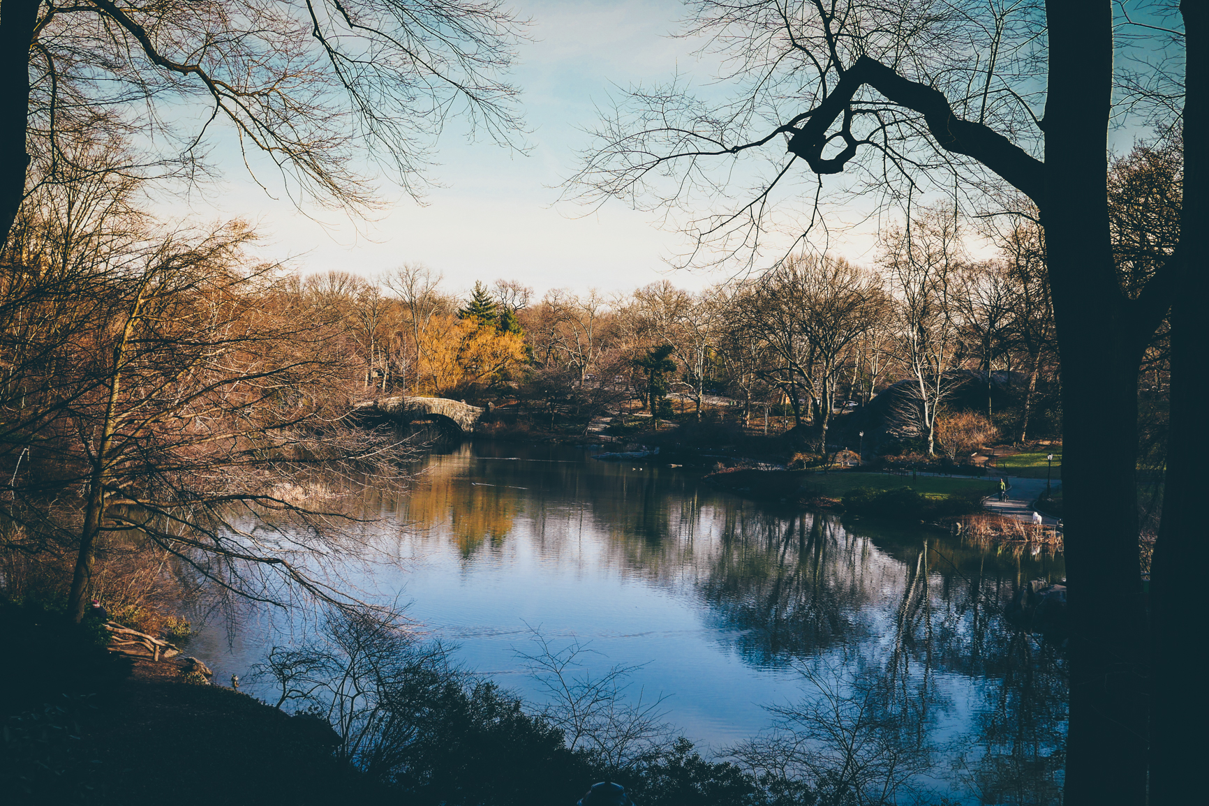best-photo-spots-of-central-park-