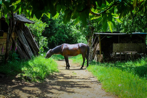 Dangerous Wine Tours Mendoza