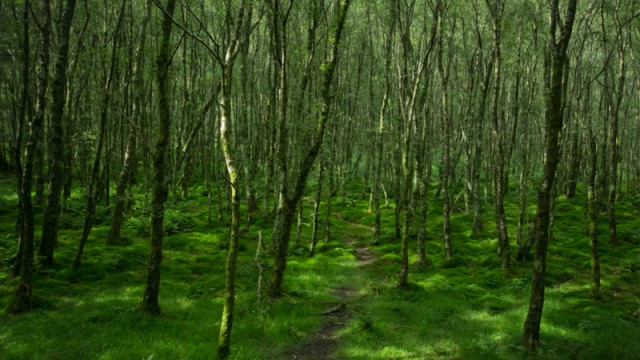 hiking trips in ireland