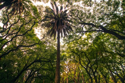 top-photos-of-argentina