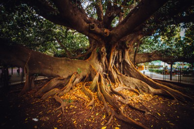 top-photos-of-argentina