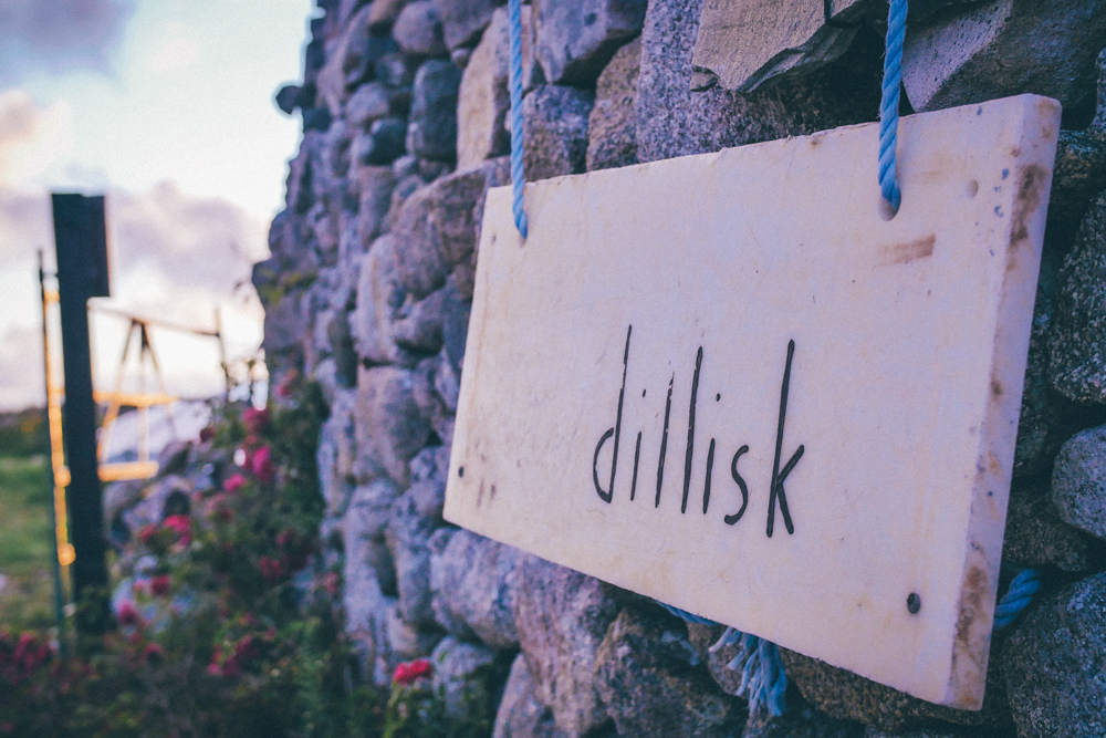 Dillisk | Sustainable Food Event Connemara
