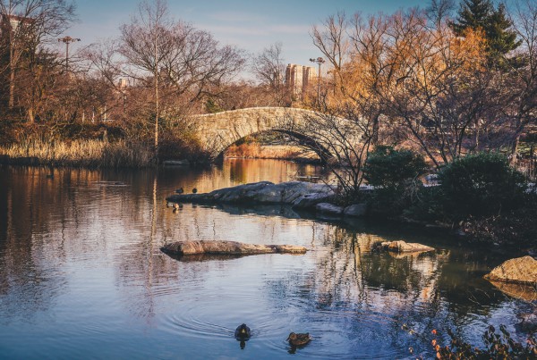 best-photo-spots-of-central-park-