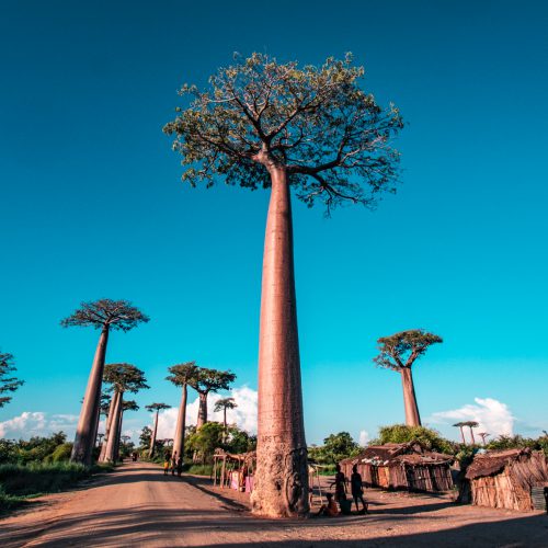 madagascar travel video
